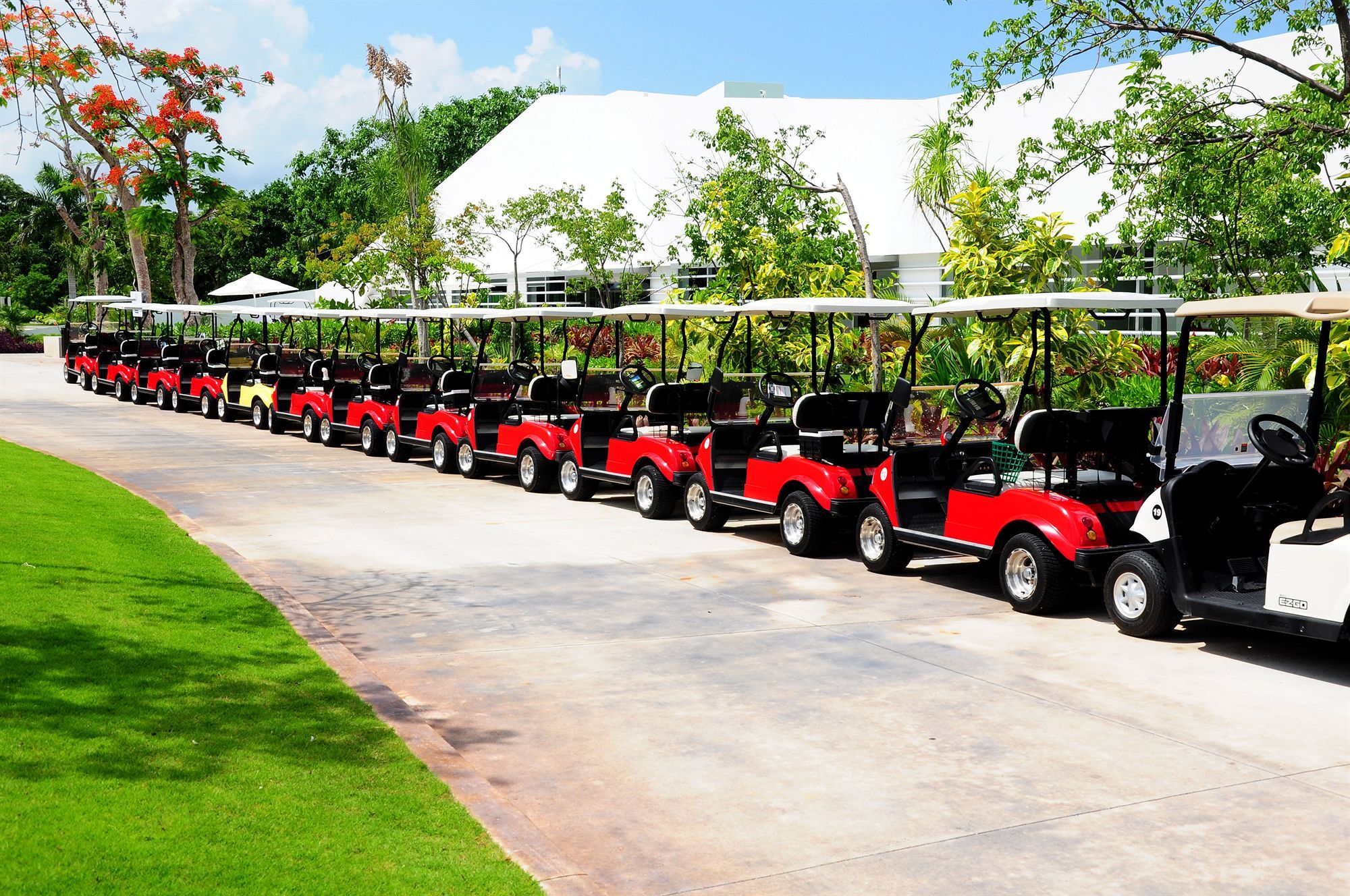 Pure All Suites Riviera Maya Playa del Carmen Exterior photo